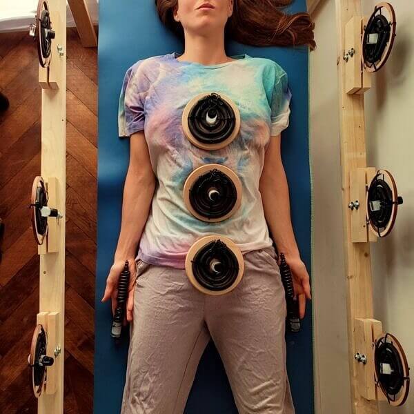 The Bioenergetic Balancing System